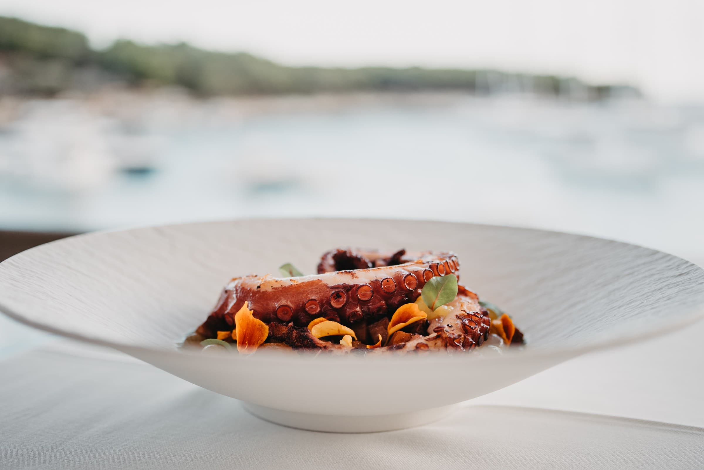 Pulpo a la parrilla sobre la bahía de Vinogradišće en Zori Restaurant, Palmižana, islas Pakleni